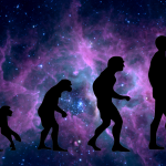 Evolution