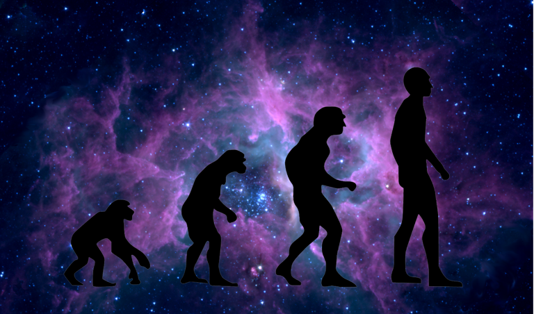 Evolution